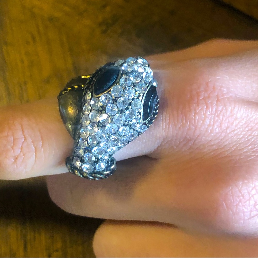 Ring snack head